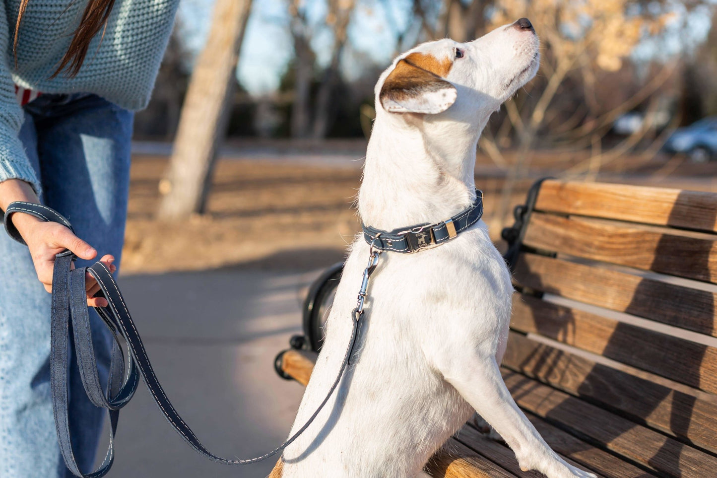 Euro Dog Quick Release Leather Collars Blue