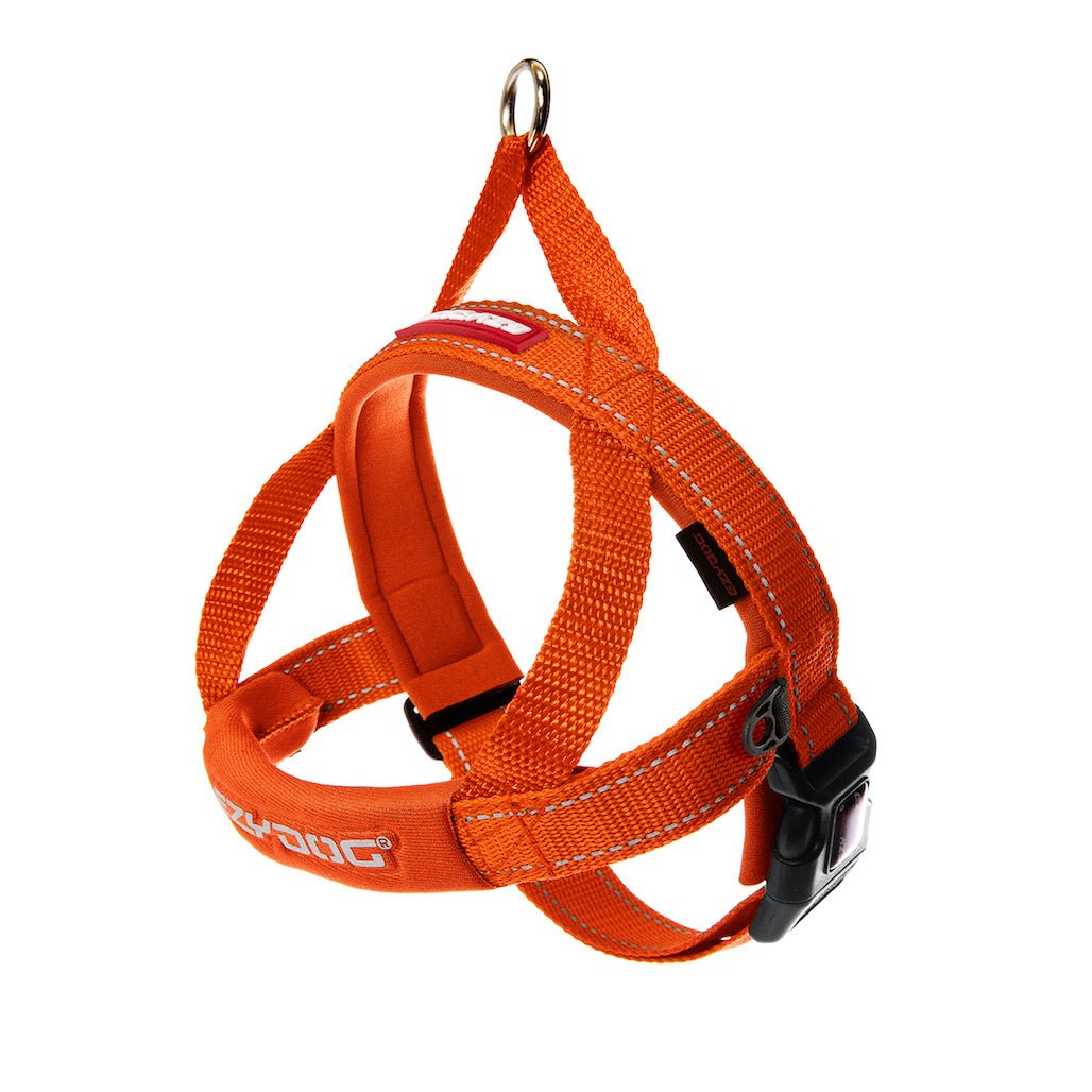 EzyDog Quick Fit Harness Orange