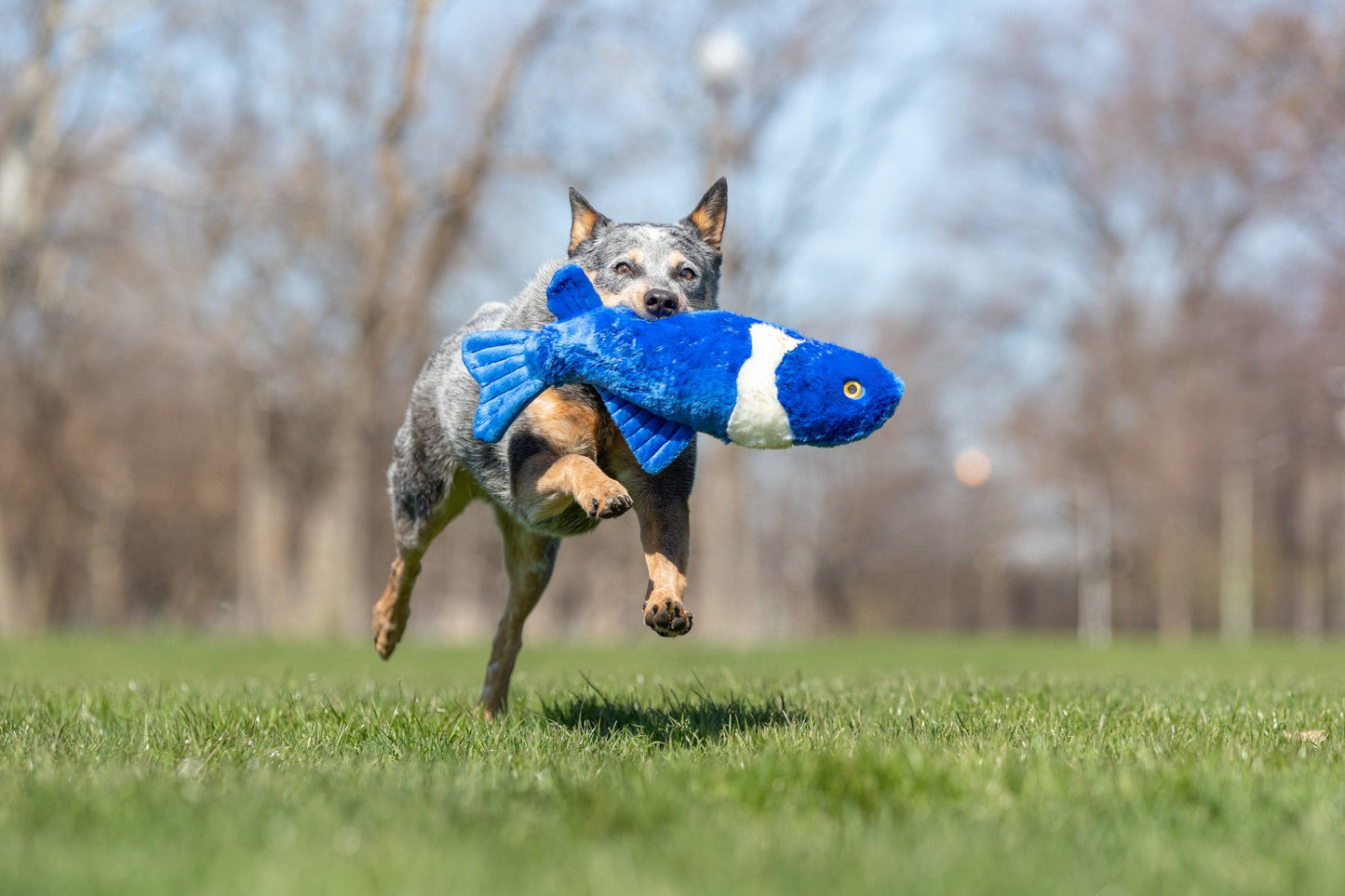 Fluff & Tuff Large and XL Plush Toys - Happy Hounds Pet Supply