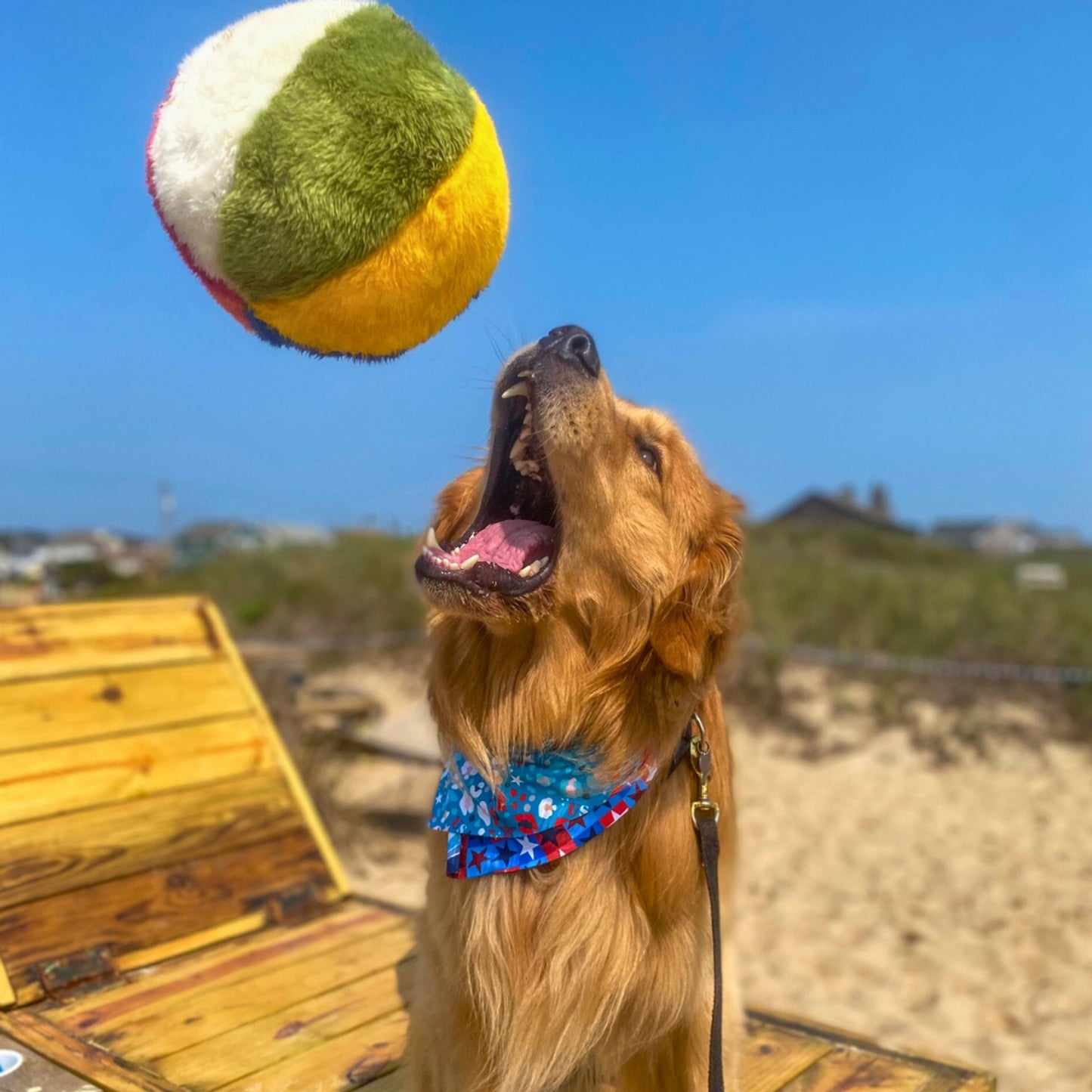 Fluff & Tuff Large and XL Plush Toys - Happy Hounds Pet Supply