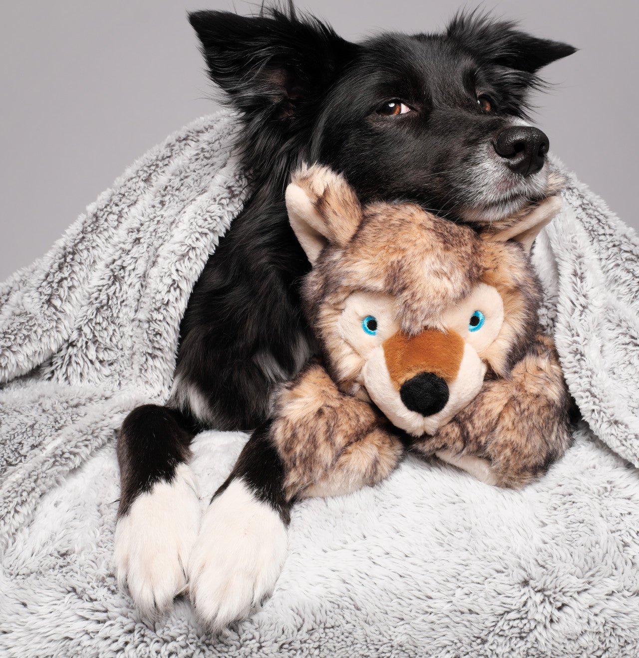 Fluff & Tuff Large and XL Plush Toys - Happy Hounds Pet Supply