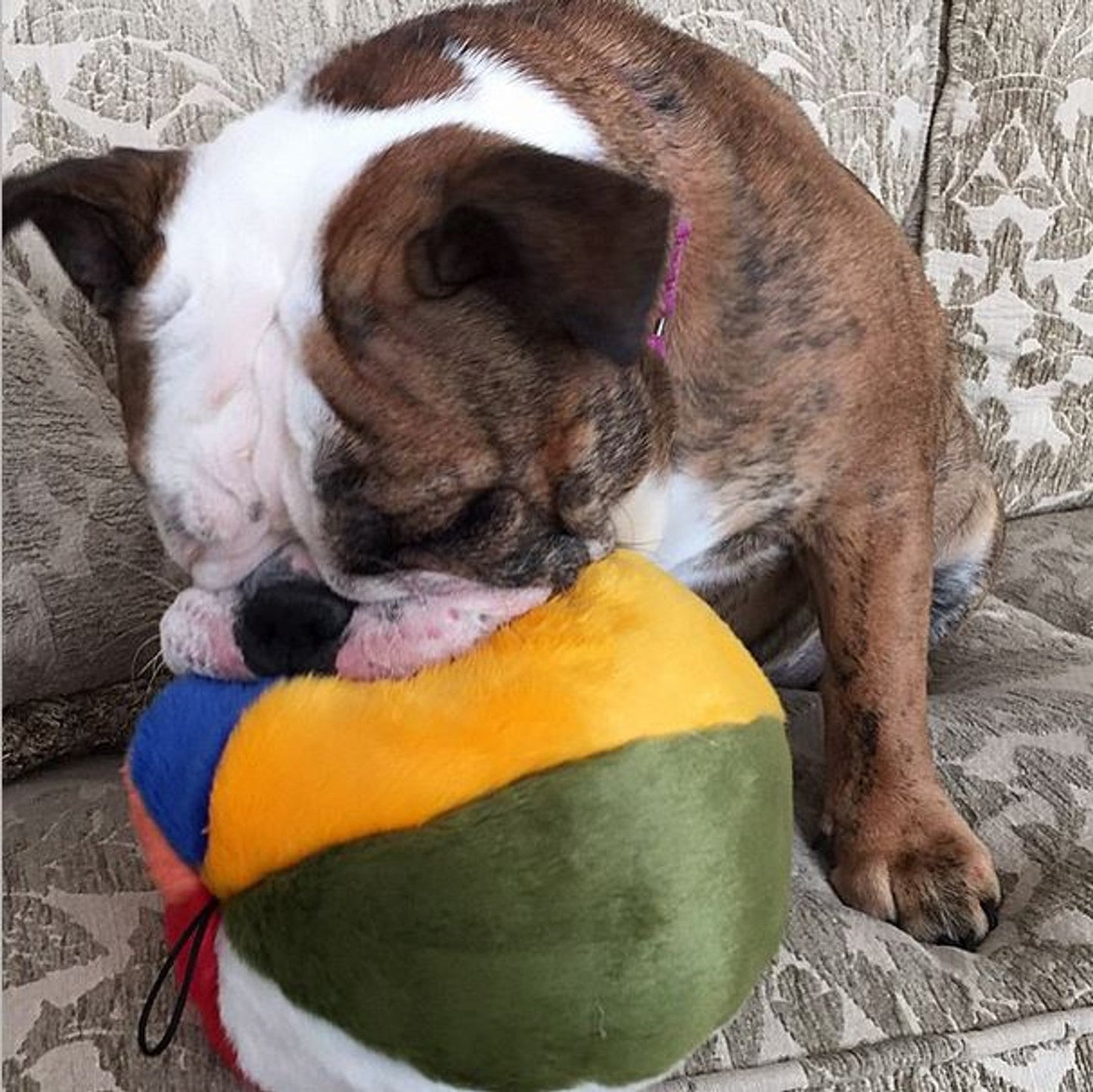 Fluff & Tuff Large and XL Plush Toys - Happy Hounds Pet Supply
