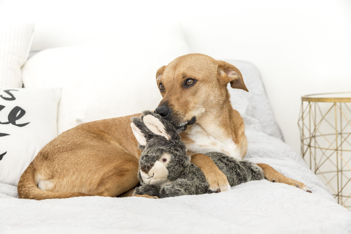 Fluff & Tuff Large and XL Plush Toys - Happy Hounds Pet Supply