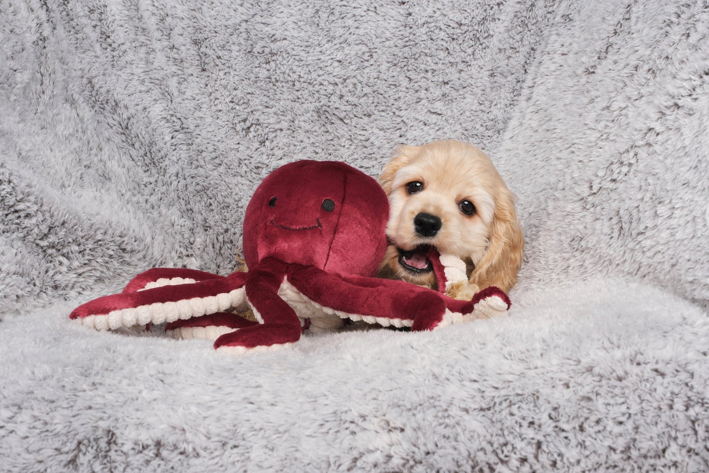 Fluff & Tuff Medium Plush Toys - Happy Hounds Pet Supply