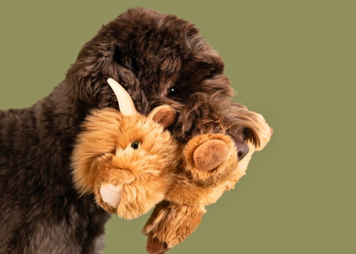 Fluff & Tuff Medium Plush Toys - Happy Hounds Pet Supply