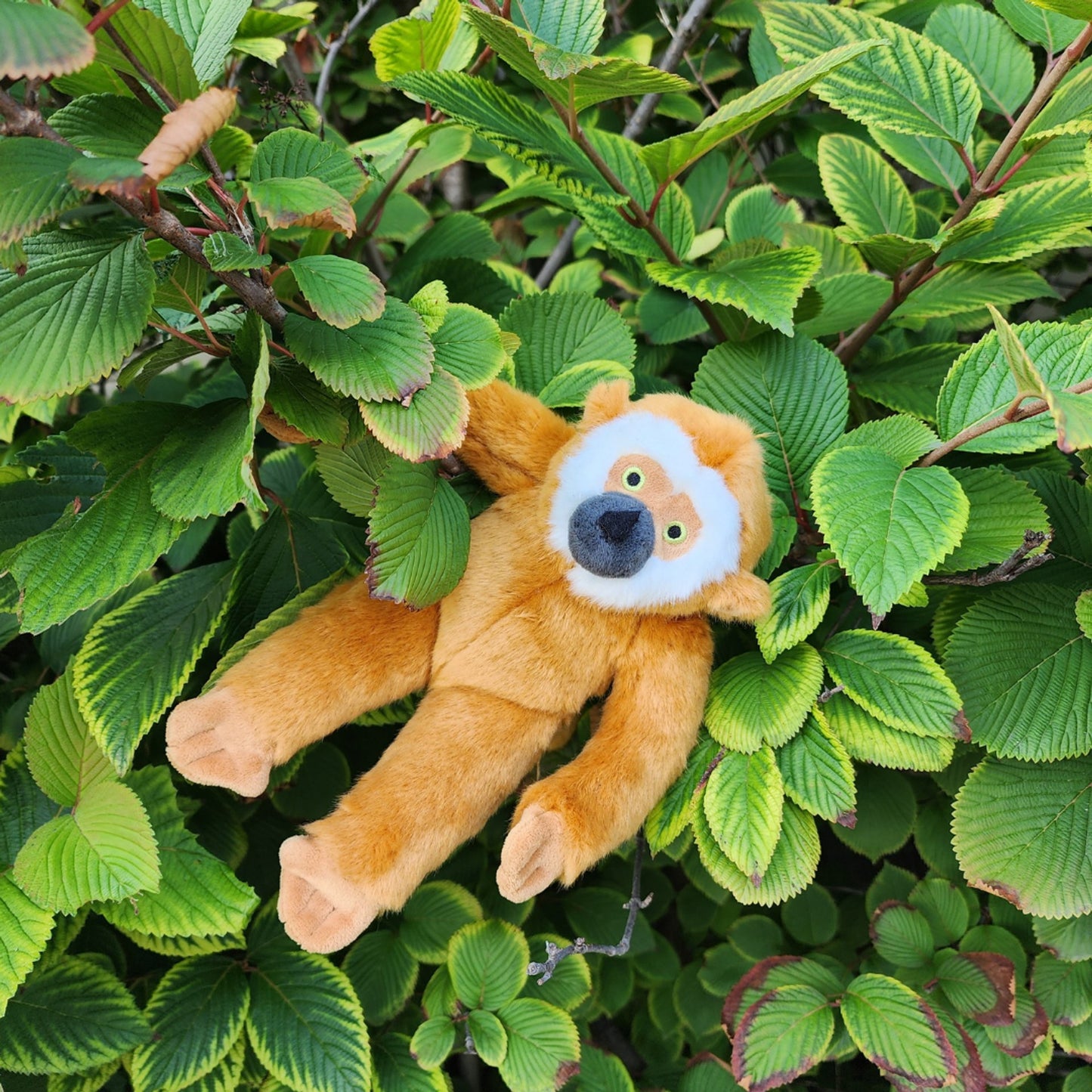 Fluff & Tuff Medium Plush Toys - Happy Hounds Pet Supply