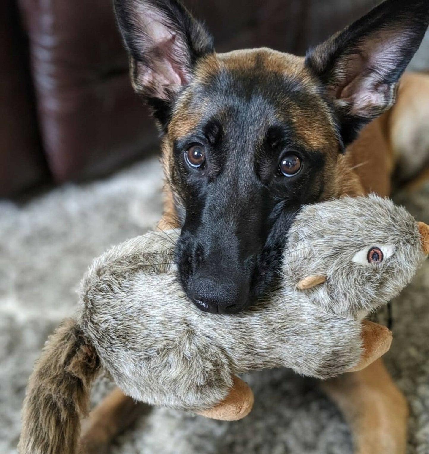 Fluff & Tuff Plush Toys
