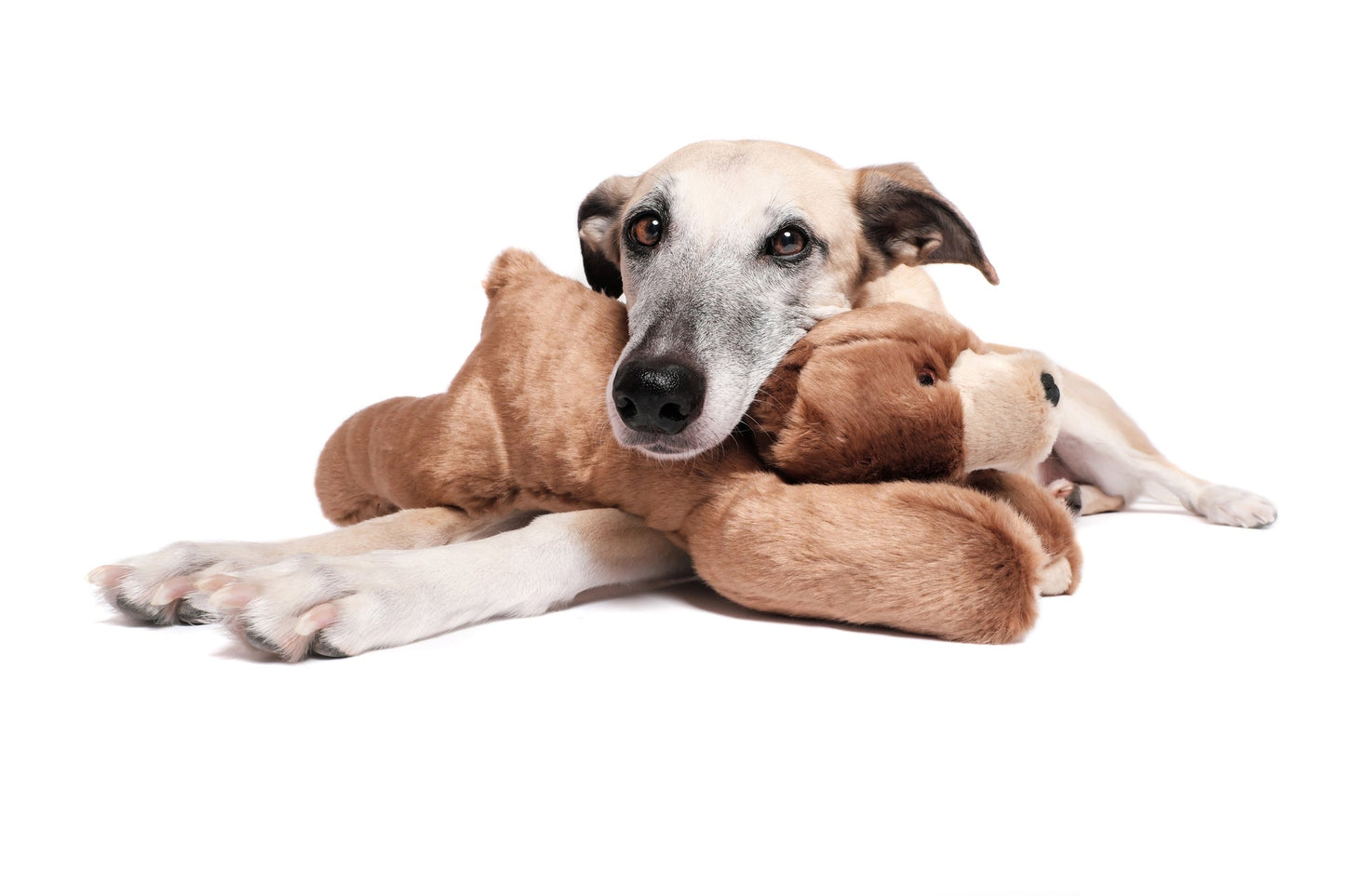 Fluff & Tuff Plush Toys
