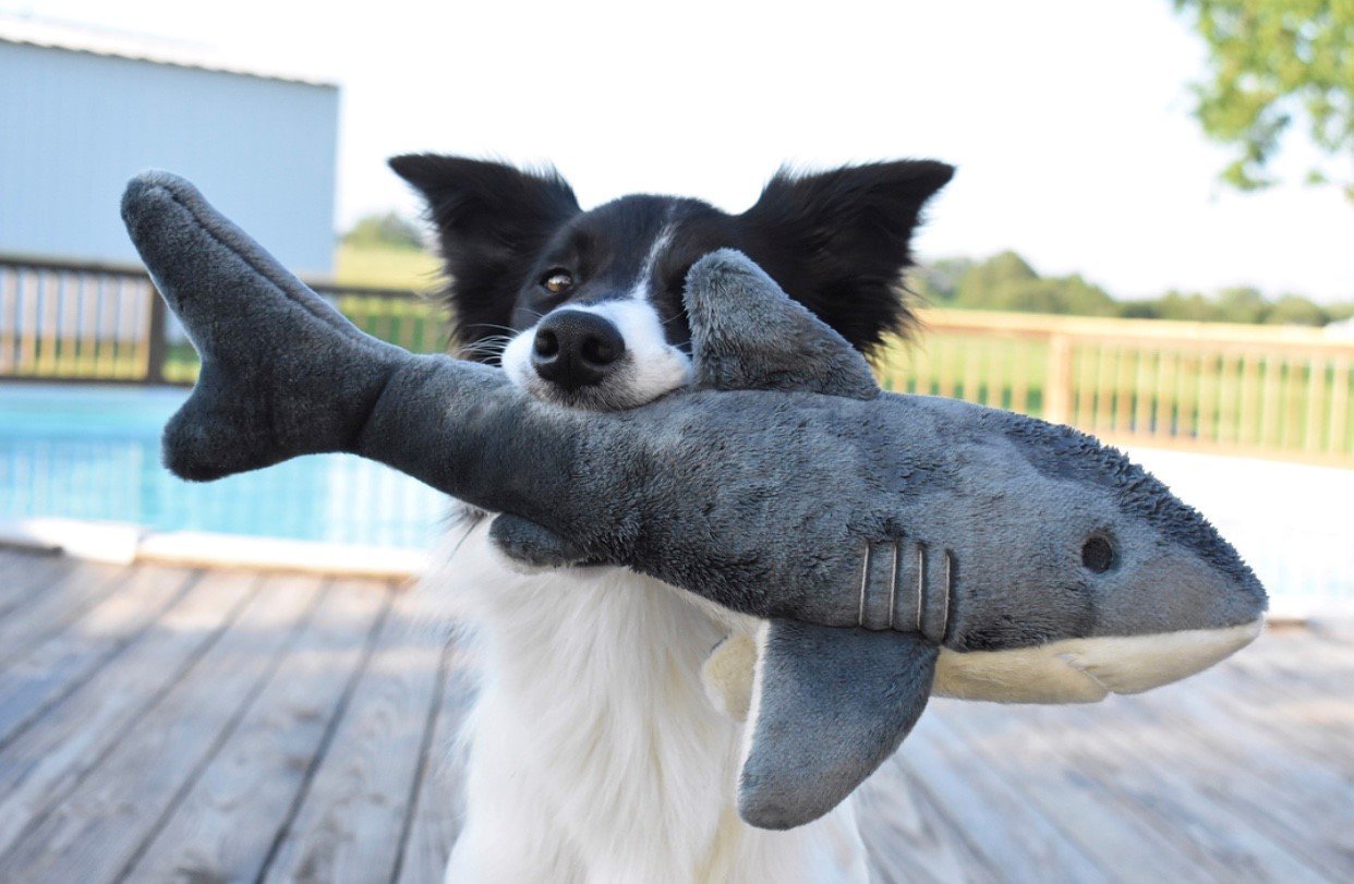 Fluff & Tuff Plush Toys