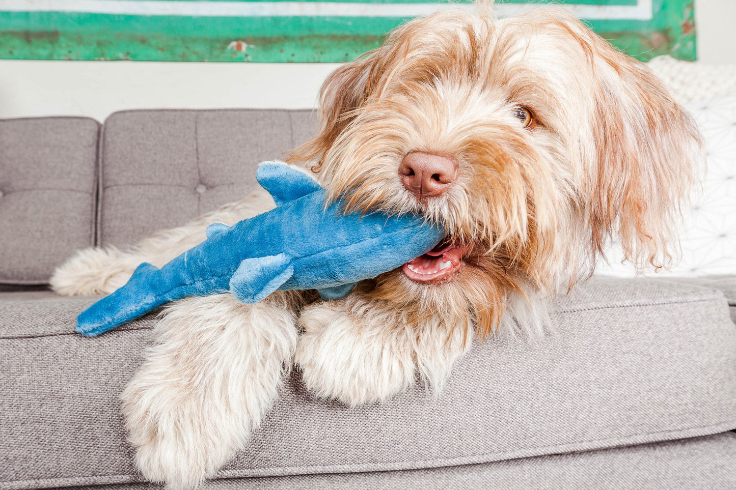 Fluff & Tuff Small Plush Toys - Happy Hounds Pet Supply