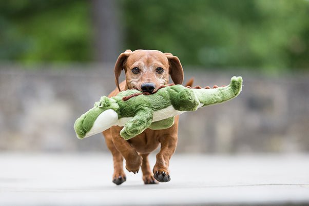 Fluff & Tuff Small Plush Toys - Happy Hounds Pet Supply