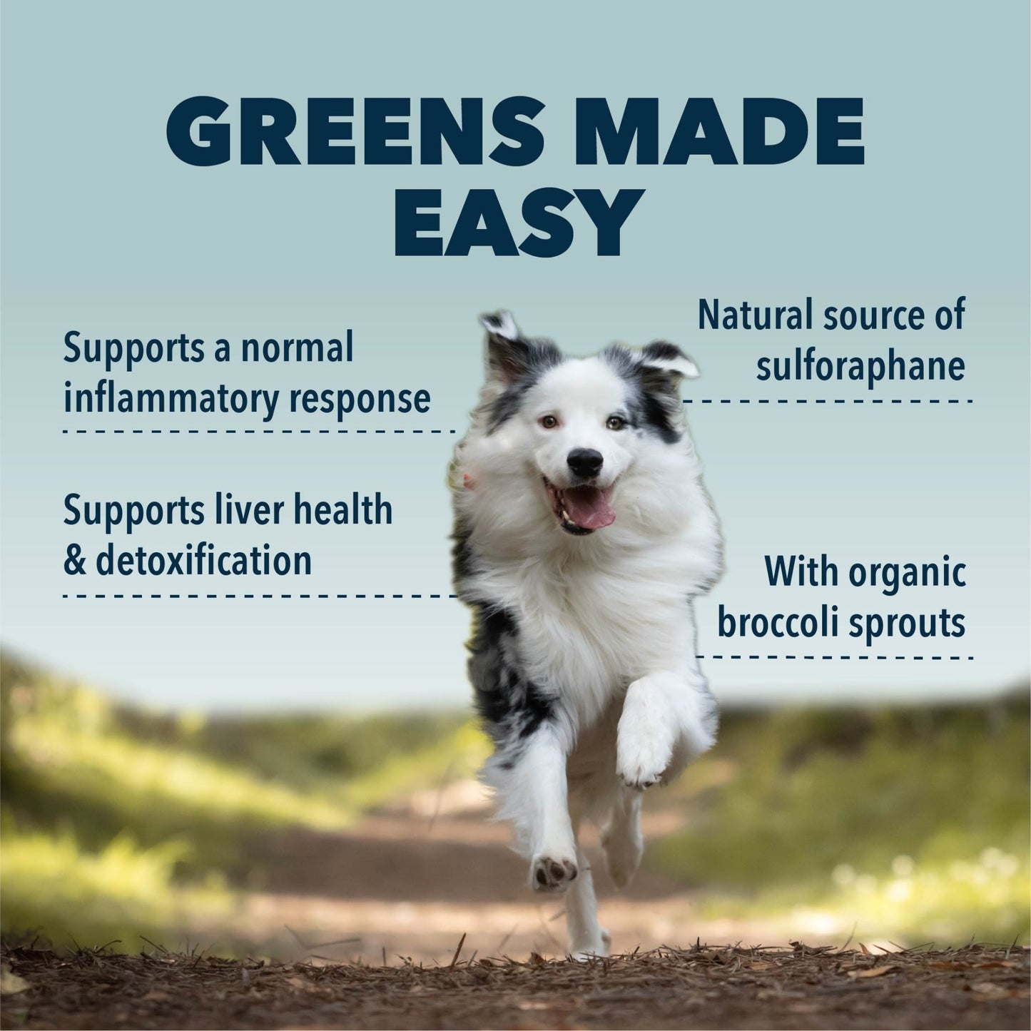 Four Leaf Rover Green Rover for Liver and Kidney Support - Happy Hounds Pet Supply