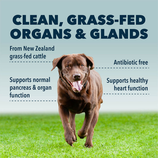 Four Leaf Rover Guts and Glory Organ Meats - Happy Hounds Pet Supply