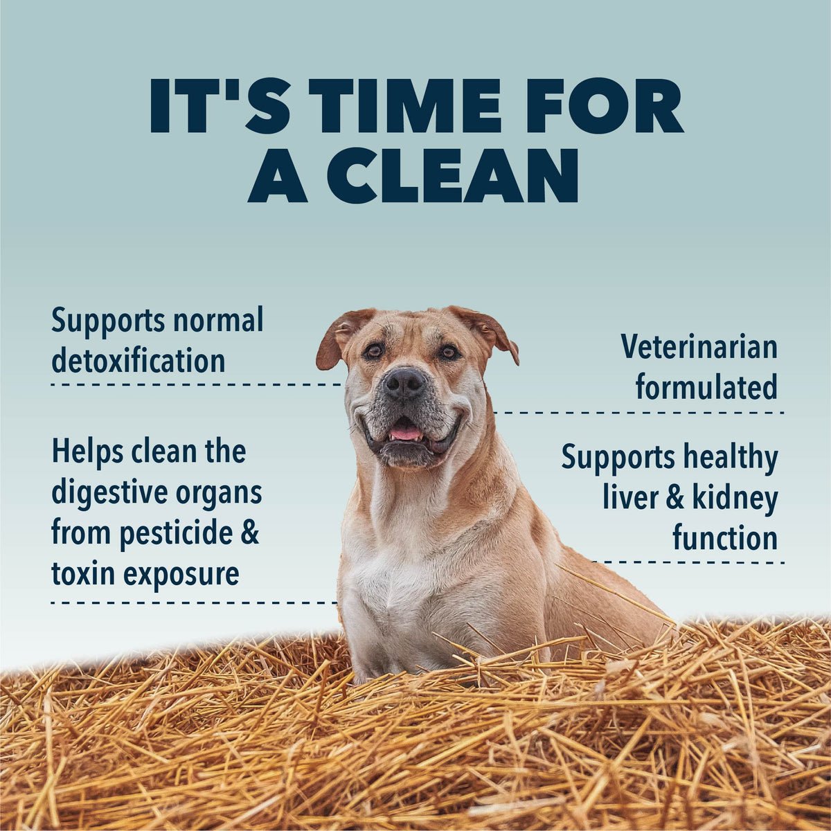 Four Leaf Rover Liver/Kidney Cleanse - Happy Hounds Pet Supply