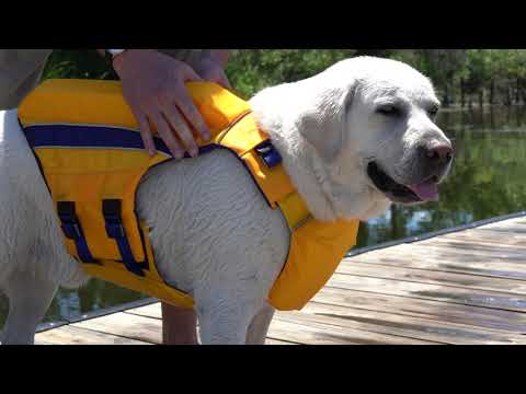 BayDog Monterey Bay Offshore Life Jacket