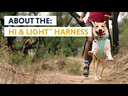 Ruffwear Hi & Light Dog Harness