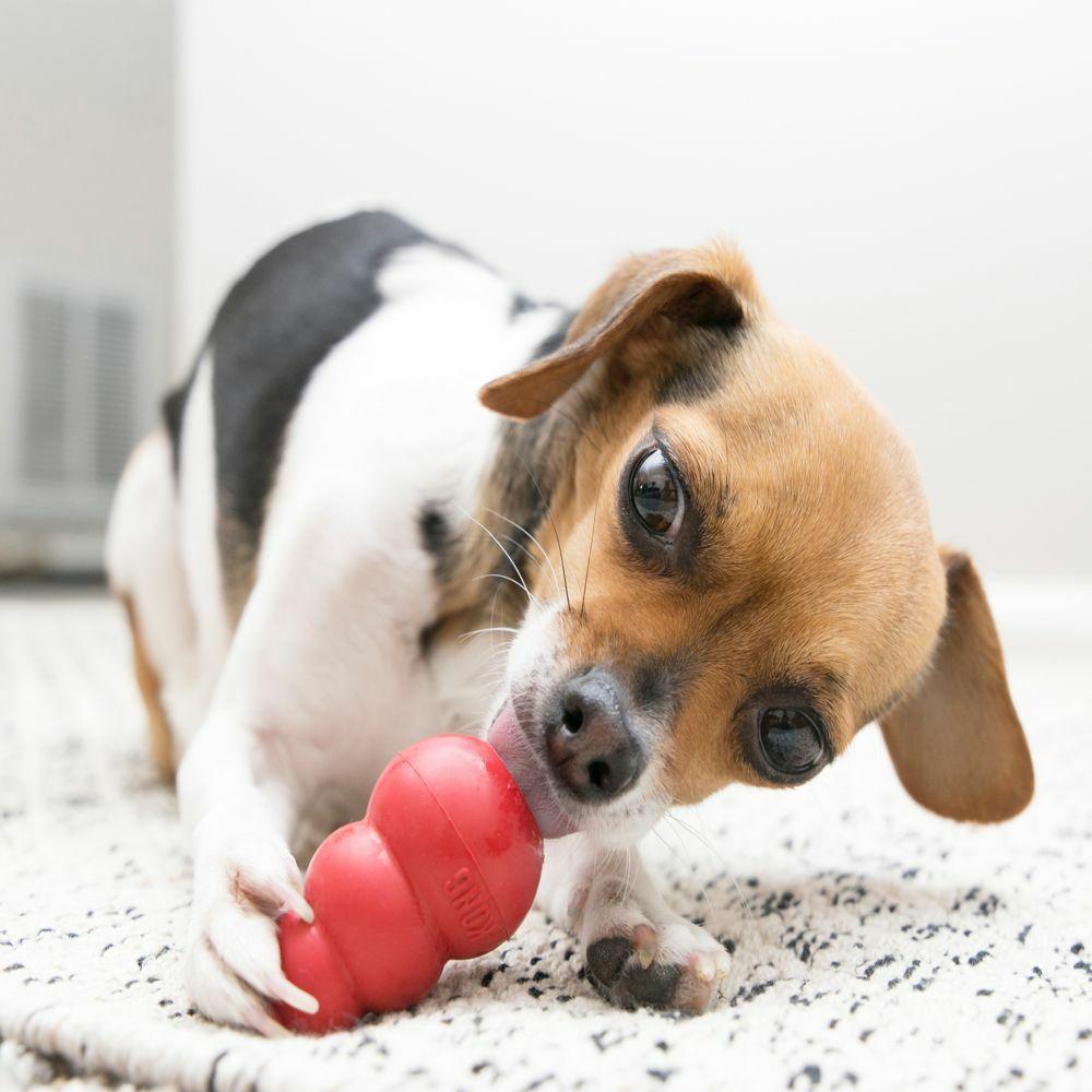 Kong Classic Chew Toy Classic Red Small