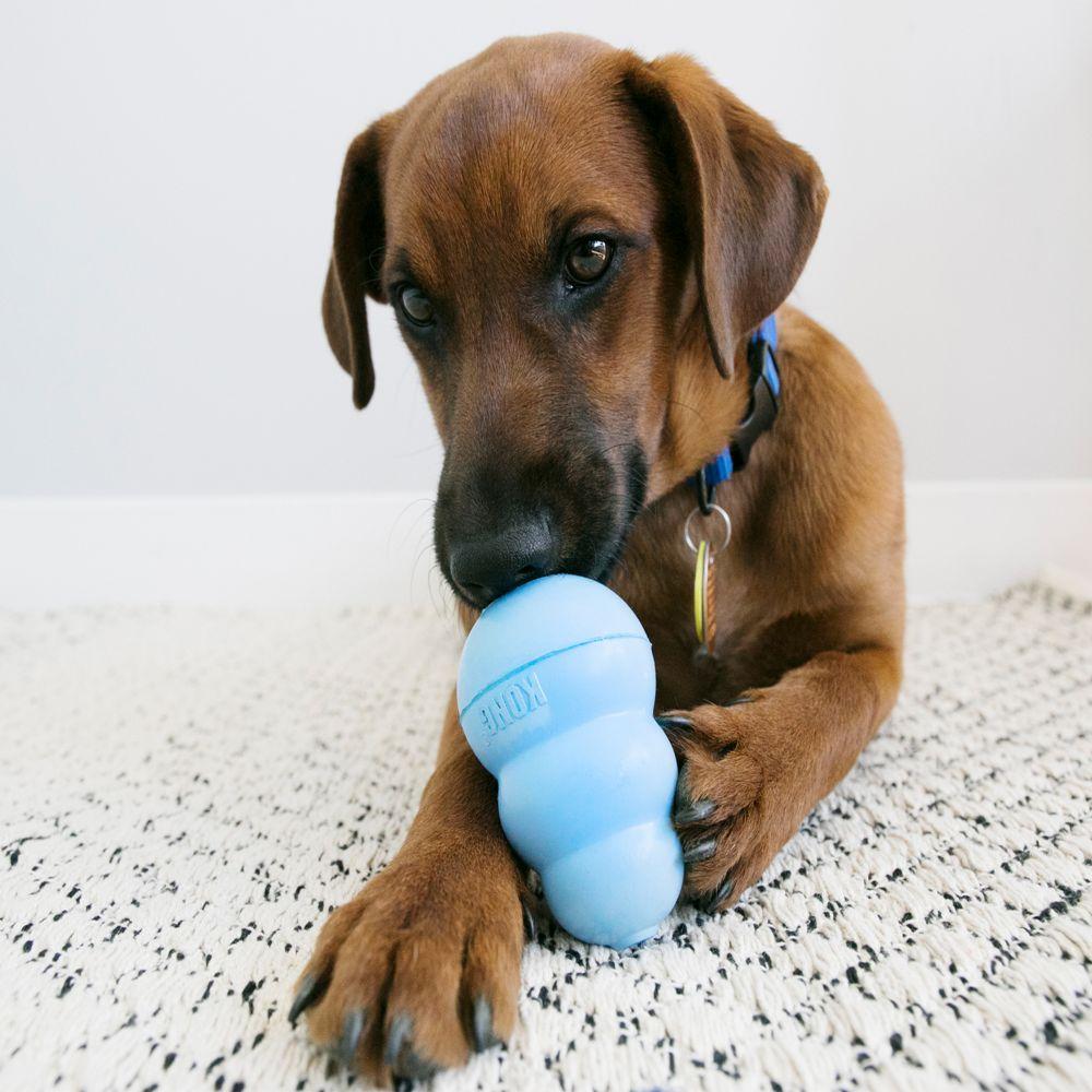 Kong Classic Chew Toy Senior Medium