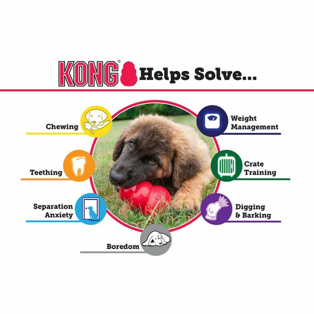 Kong Classic Chew Toy