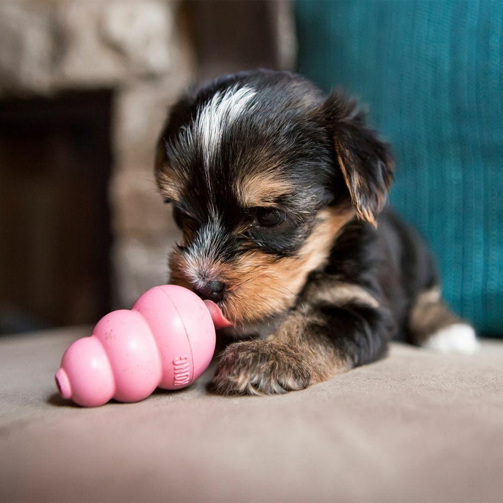 Kong Classic Chew Toy Puppy Large