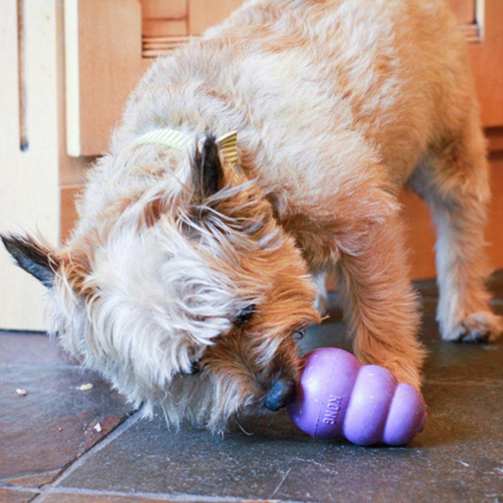 Kong Classic Chew Toy Senior Medium