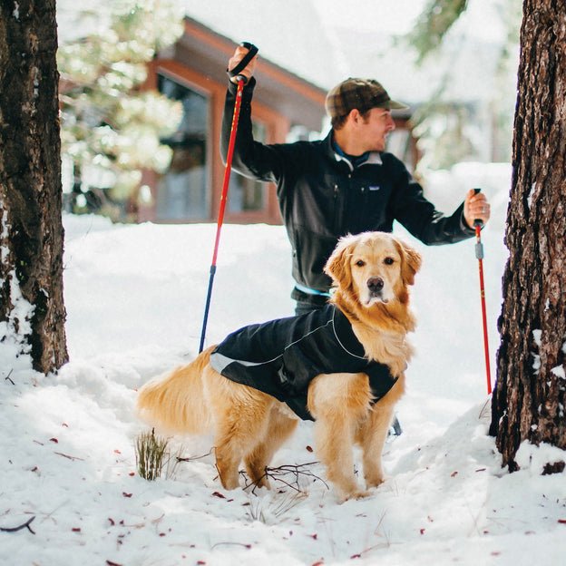 Kurgo North Country Dog Coat