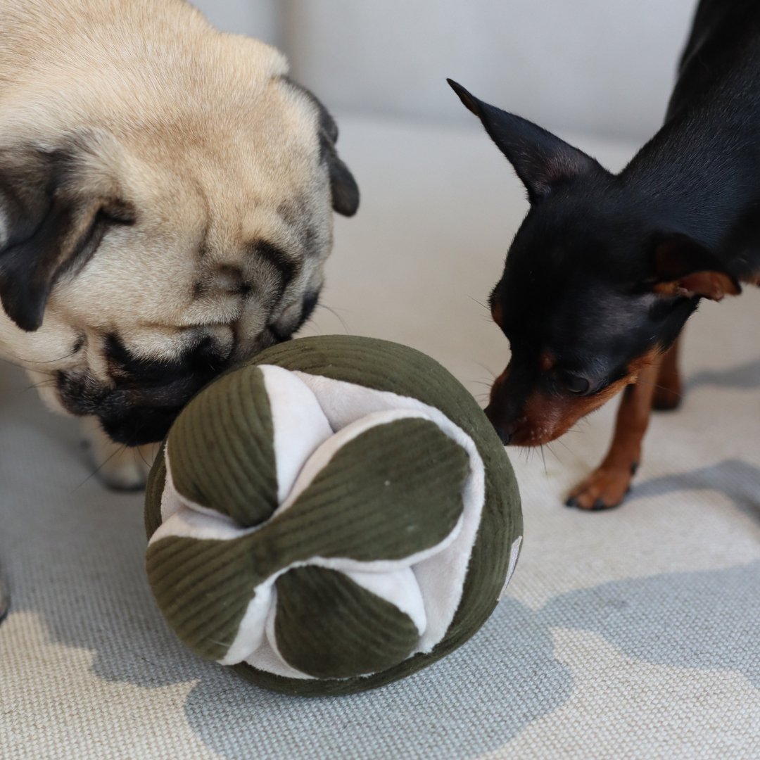 Lambwolf Collective - MONTI*//Enrichment Toy - Happy Hounds Pet Supply