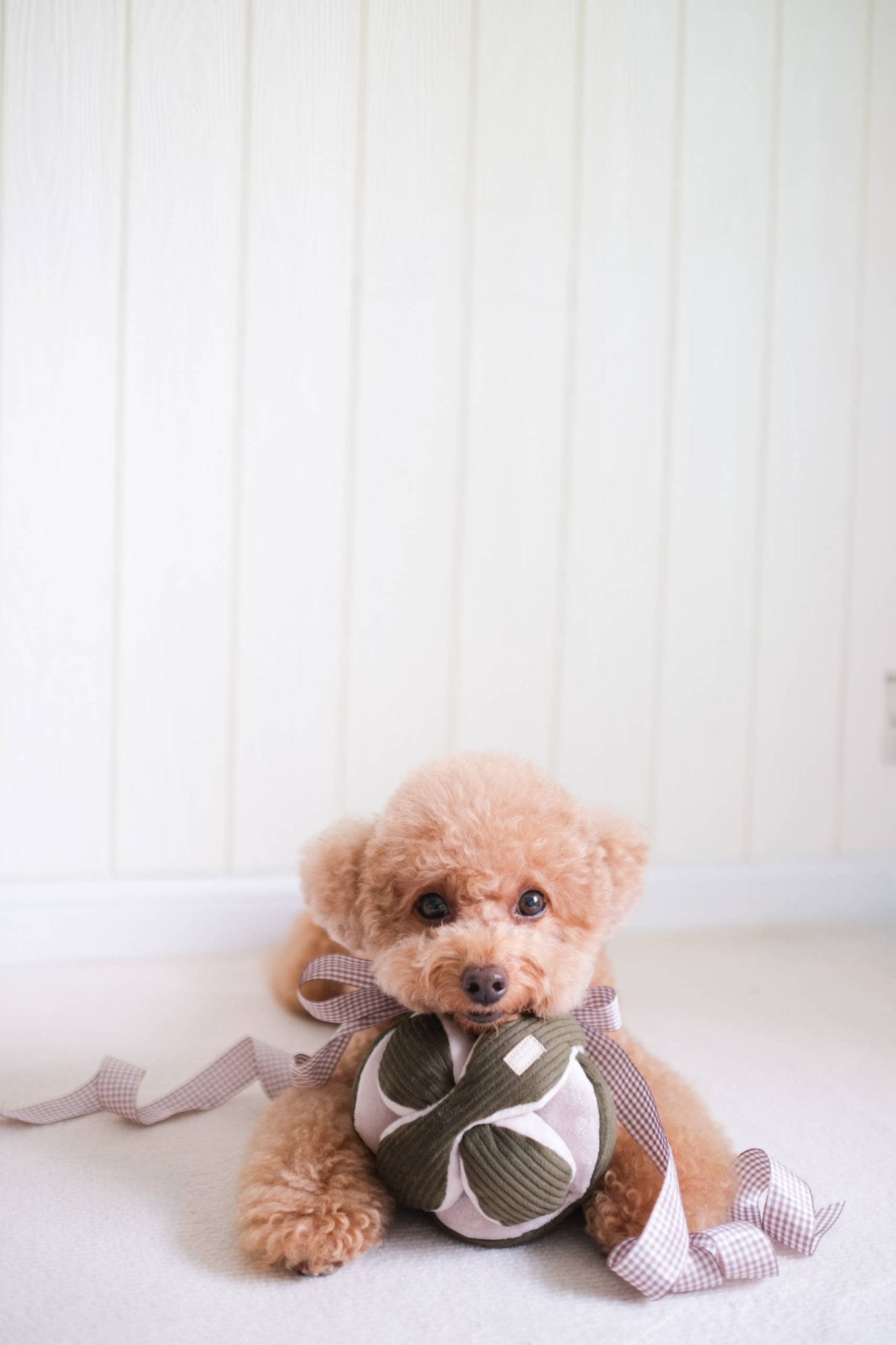 Lambwolf Collective - MONTI*//Enrichment Toy - Happy Hounds Pet Supply