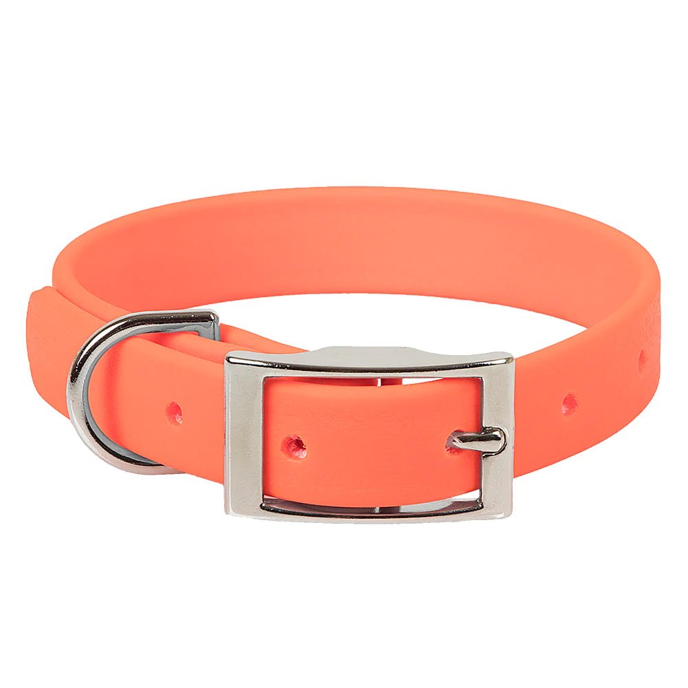 Mendota rolled store leather dog collar