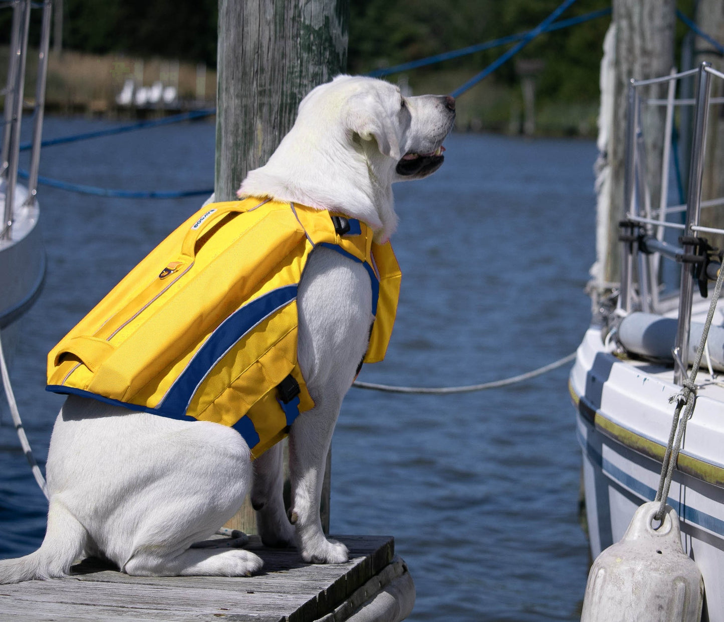 Monterey Bay Offshore Life Jacket