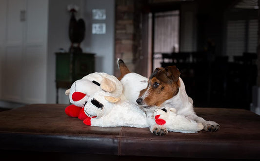 Multipet Lamb Chop