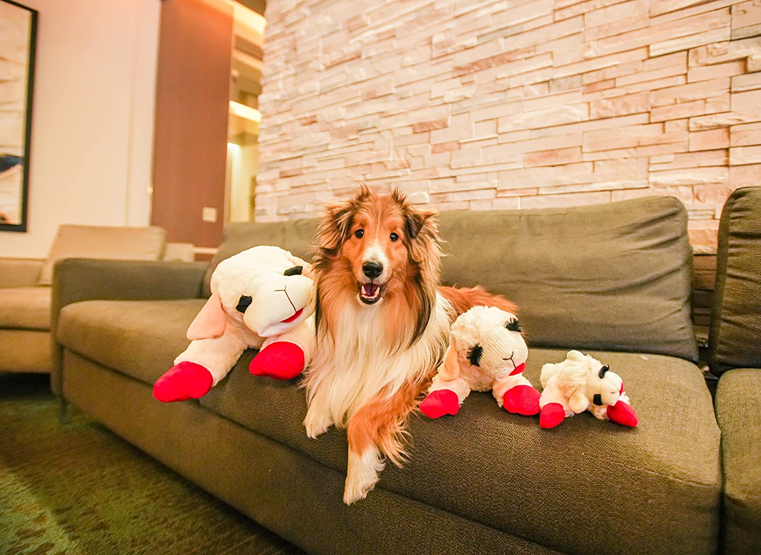 Multipet Lamb Chop
