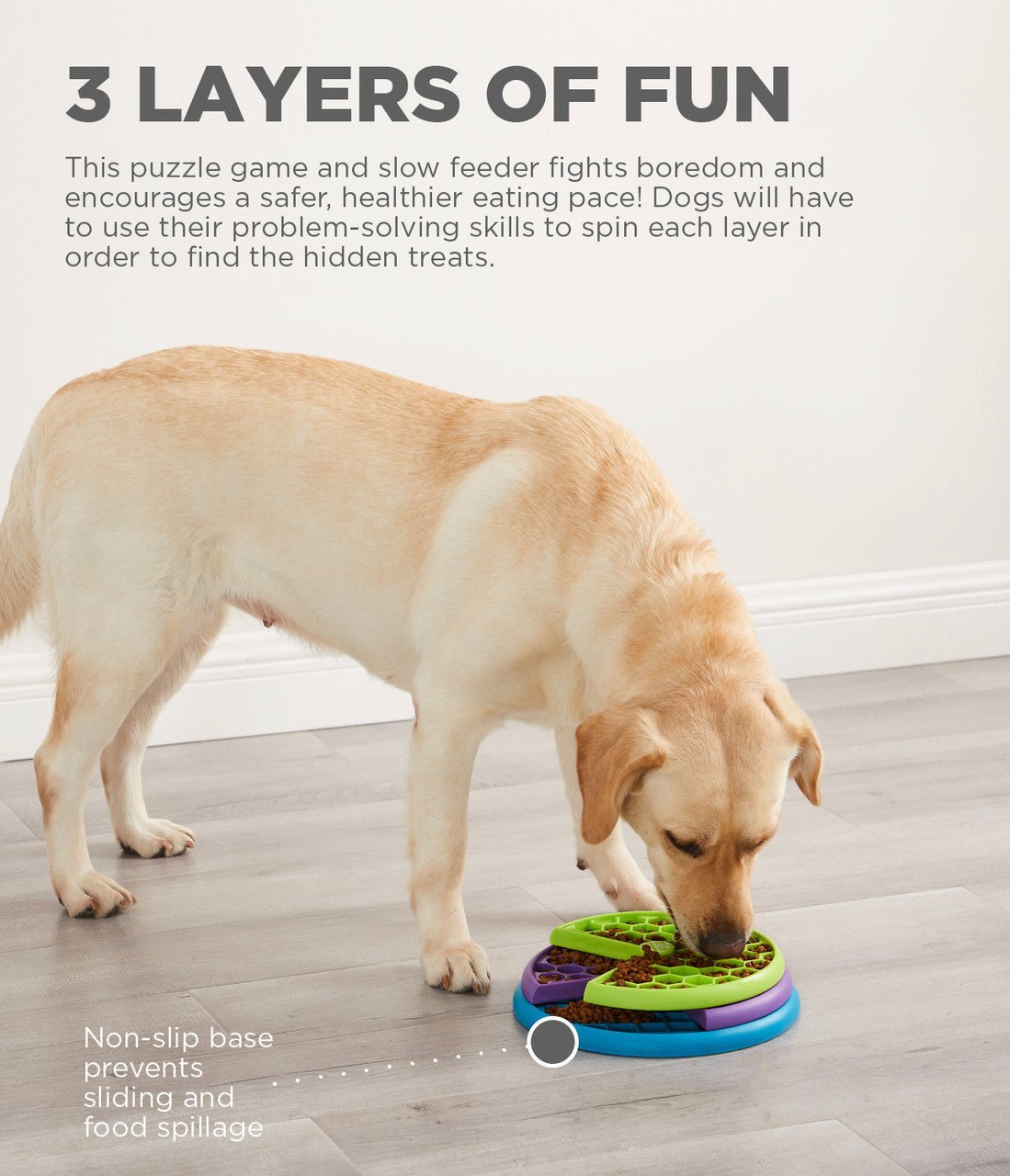 Nina Ottosson Dog Puzzles L2 Lickin Layers