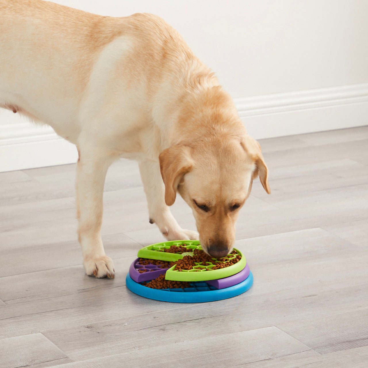 Nina Ottosson Dog Puzzles L2 Lickin Layers