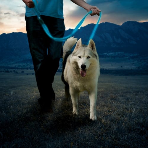 Nite Ize NiteDog Rechargeable LED Leash