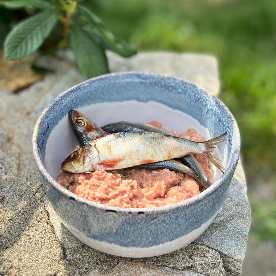 Oma's Pride Frozen Whole Sardines 1lb - Happy Hounds Pet Supply