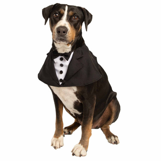 Pet Costumes Large/XL Tuxedo Collar