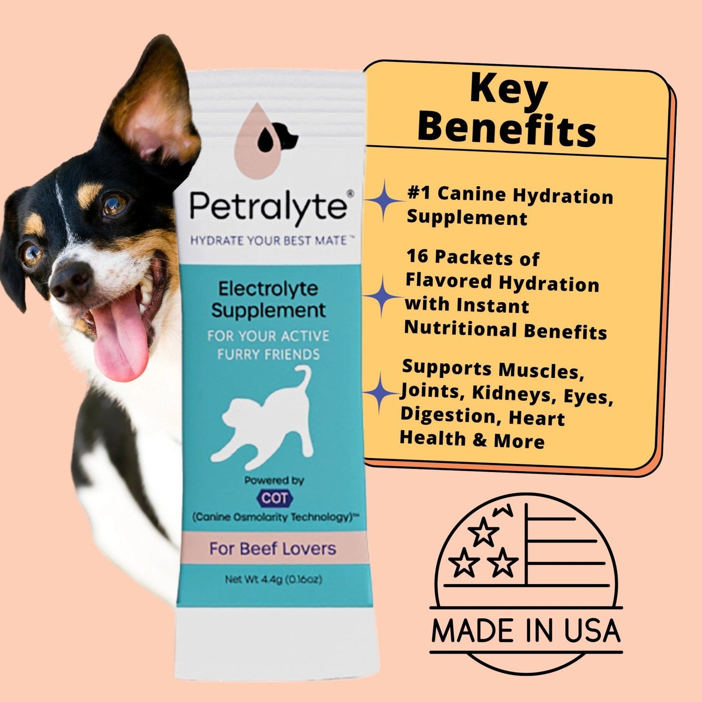 Petralyte Dog Electrolyte Formula Beef Singles
