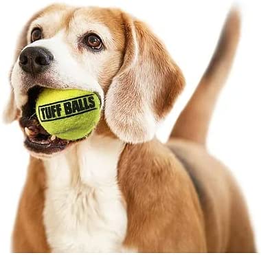 Petsport Tuff Balls 6"
