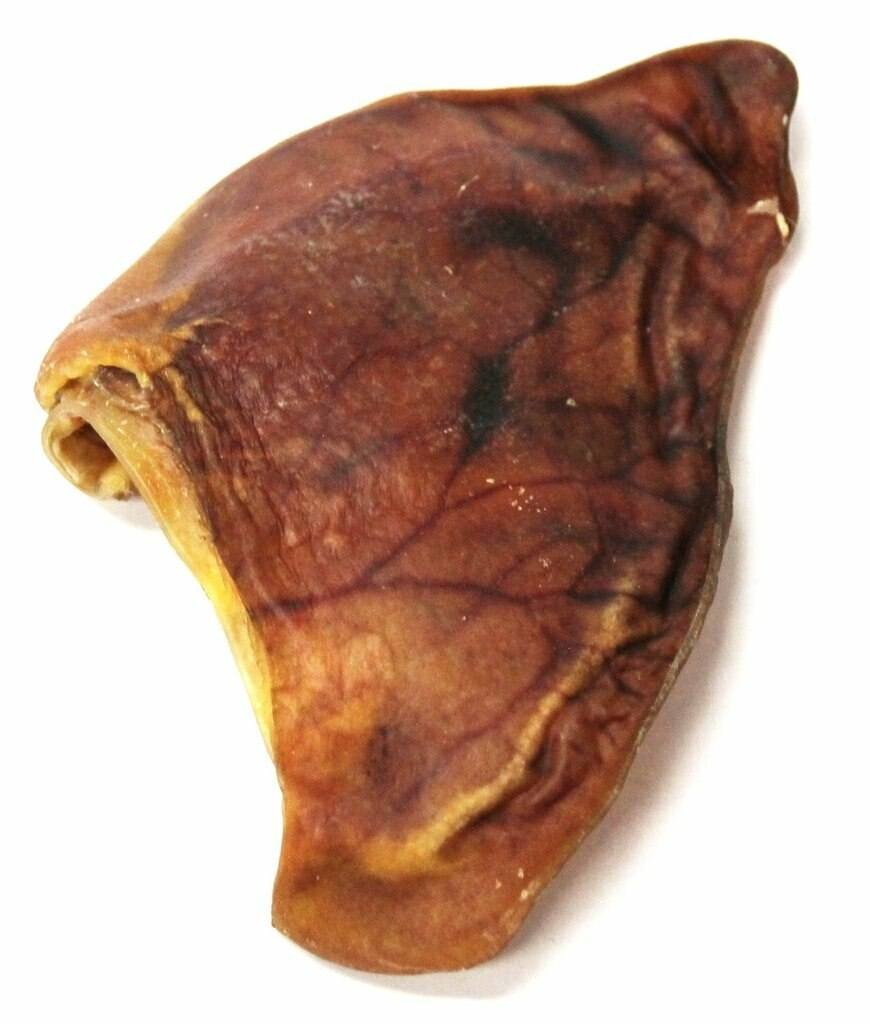 Pig Ears (each)