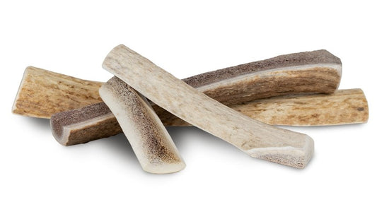 Primal Split Elk Antlers XL