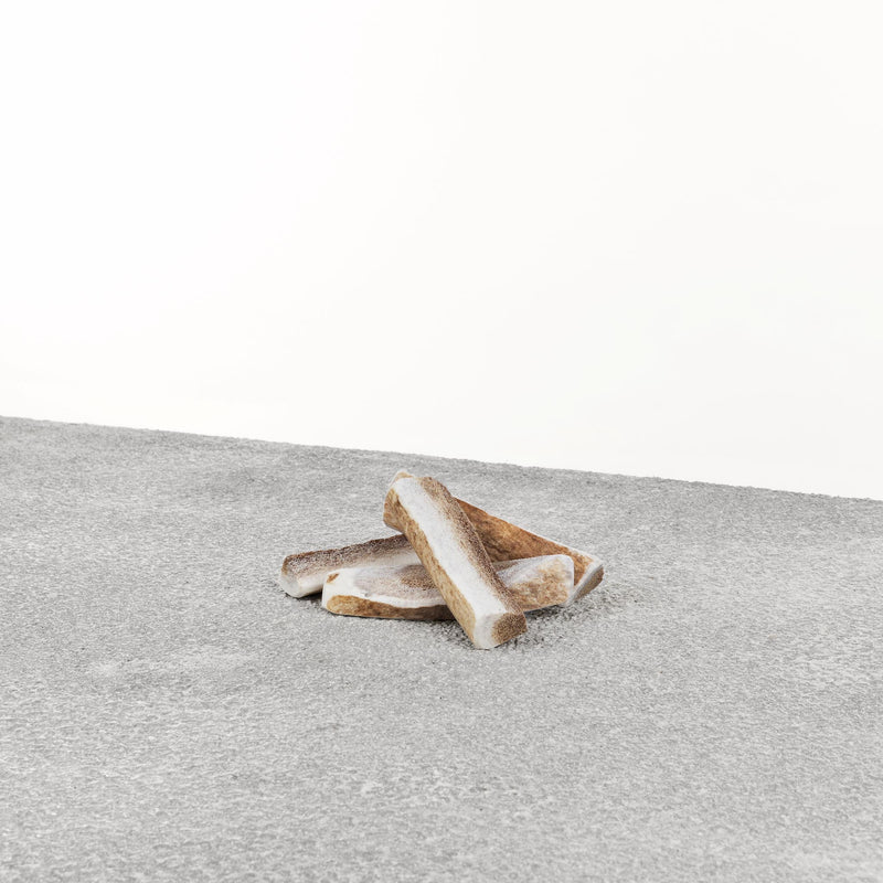 Primal Split Elk Antlers Small