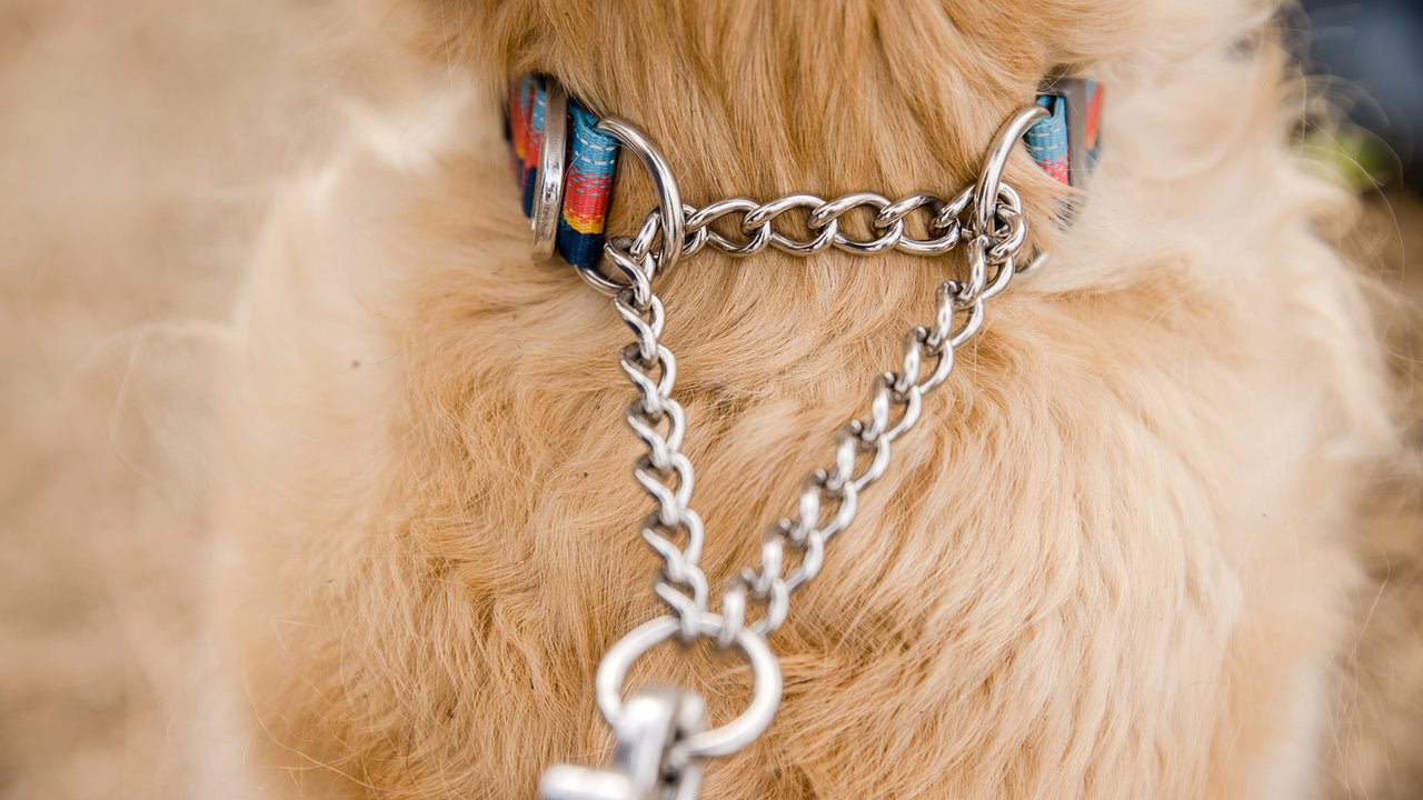 Ruffwear Chain Reaction Martingale Collar - Happy Hounds Pet Supply