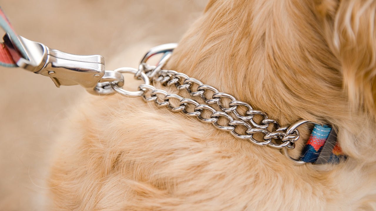 Ruffwear Chain Reaction Martingale Collar - Happy Hounds Pet Supply