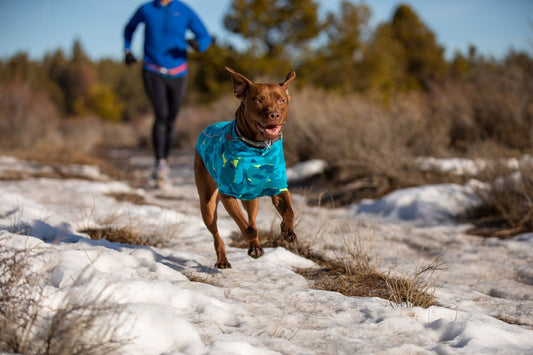 Ruffwear Climate Changer Fleece Jacket Glacier Blue