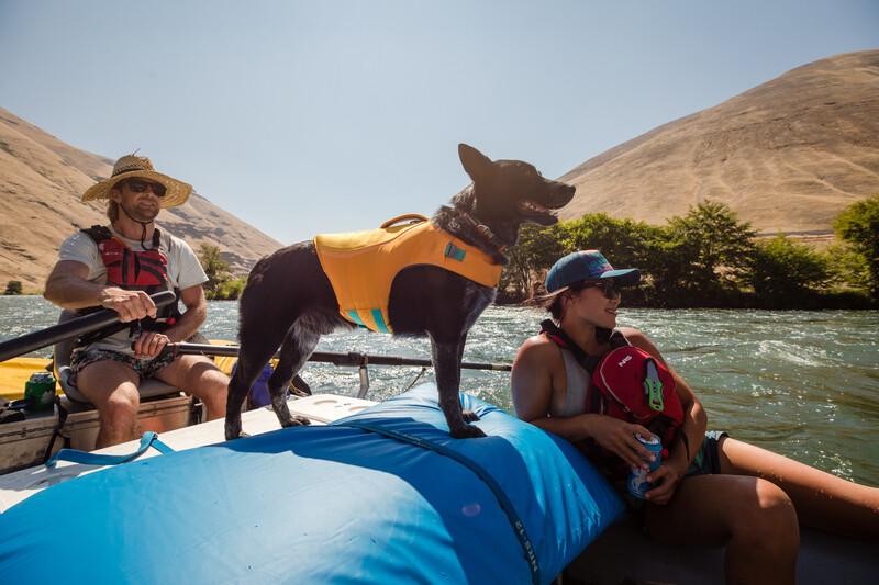 Ruffwear Float Coat Life Jacket Wave Orange