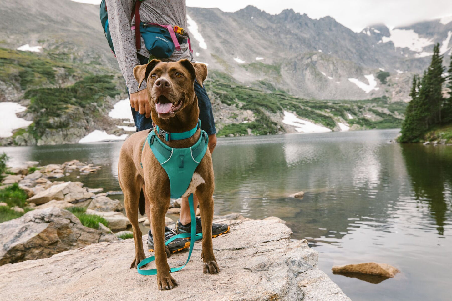 Ruffwear Front Range Collar