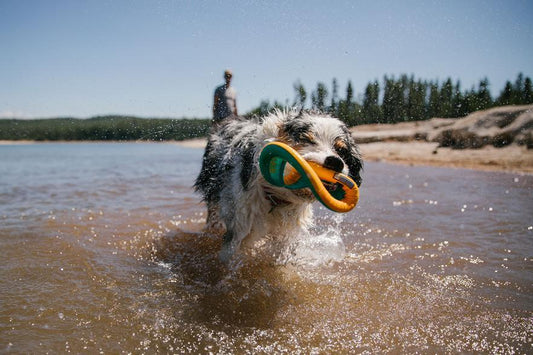 Ruffwear Hydro Plane Floating Throw Toy