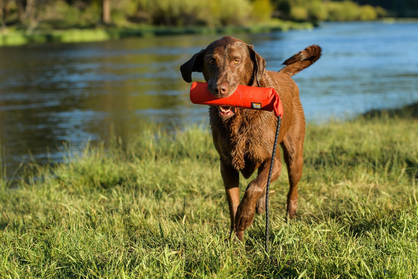 Ruffwear Lunker Campfire Orange