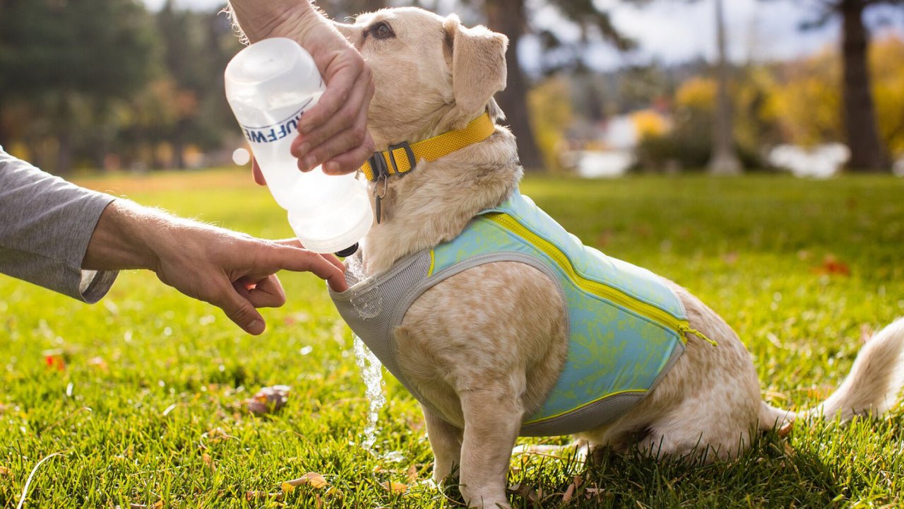 Ruffwear Swamp Cooler Zip Vest Blue Mist